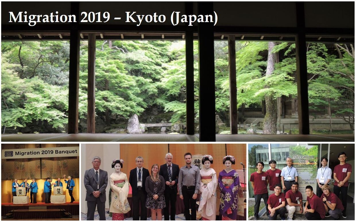 Migration 2019 - Kyoto (Japan)