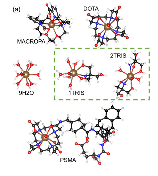 Atomic structures of the La 3+ homologues