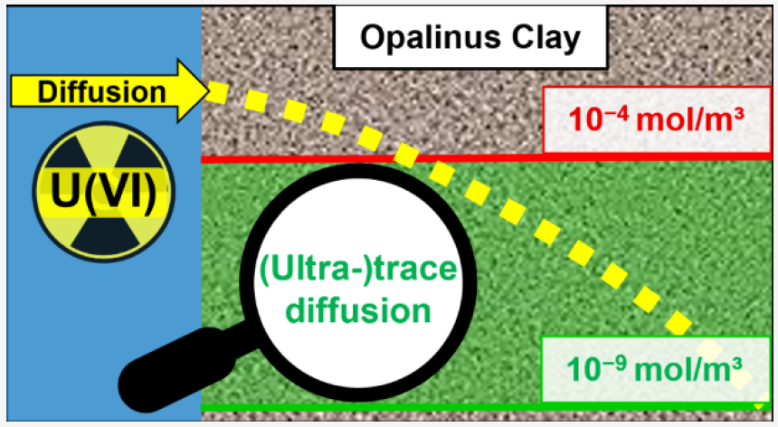 Opalinus clay diffusion